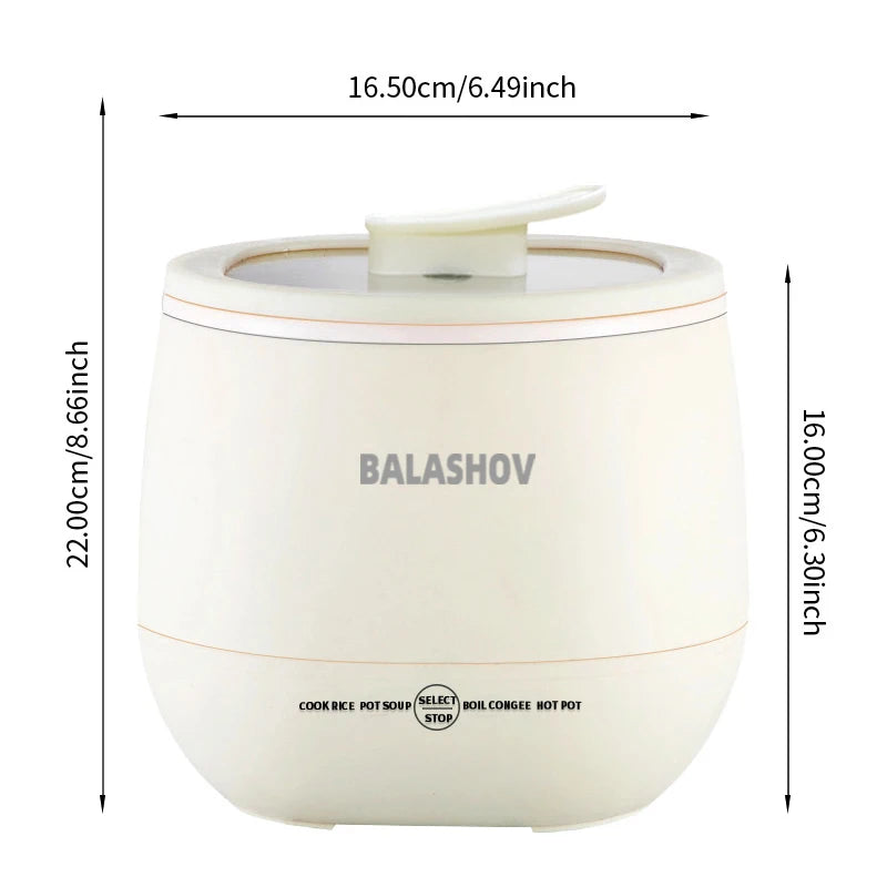 Electric Multi Rice Cooker Multifunctional Stew Pan Cookware 220V